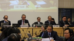 Thực hiện hiệu quả Công ước chống tra tấn, bảo đảm quyền con người ở Việt Nam