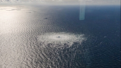 Sự cố Dòng chảy phương Bắc: Gazprom tiết lộ về tàu phá mìn của NATO, Đức 'vào cuộc', Thụy Điển quyết giữ kín kết quả