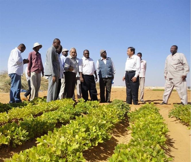 giai nobel hoa binh 2020 va thong diep ve bao dam an ninh luong thuc toan cau