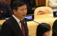 phai doan viet nam tai lien hop quoc an ngu va don tet hoi dong bao an