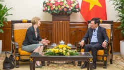 Phó Thủ tướng Phạm Bình Minh tiếp Đại sứ New Zealand chào từ biệt