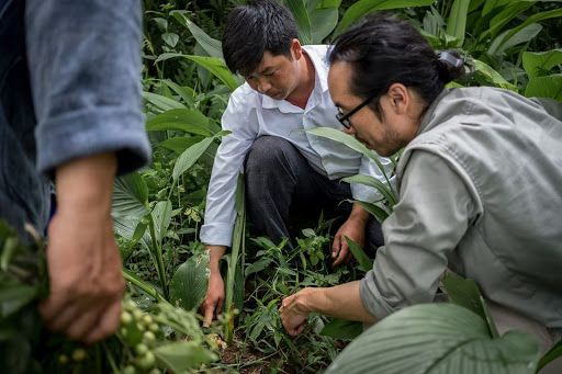 Chàng Việt kiều Mỹ tâm huyết với nông sản Việt