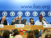 dau co luong thuc de doa toan cau