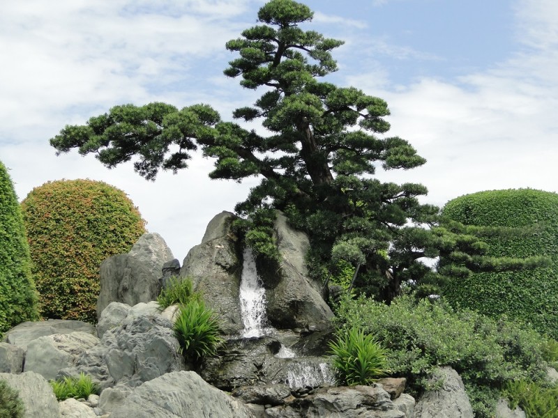 khong gian nhat o hoc mon