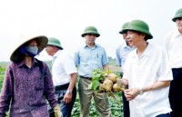 quang ninh moi goi doanh nghiep tham gia tai cau truc nong nghiep