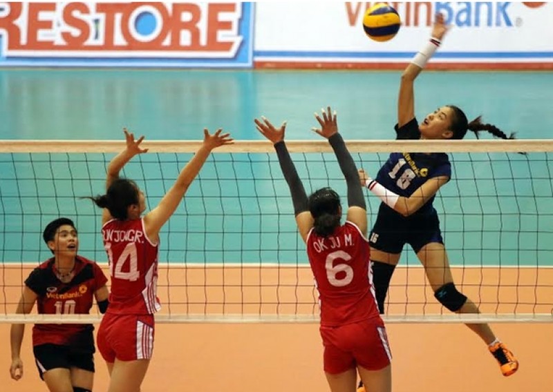 “Cánh én lạ” Đinh Thị Thúy canh en la dinh thi thuy