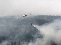 australia ran san ho noi tieng great barrierbi tay mau