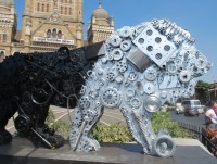 an do cho bi nhuom xanh vi nha may xa thai ra song