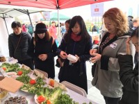 cong dan tho nhi ky duoc mien thi thuc schengen tu cuoi thang 6