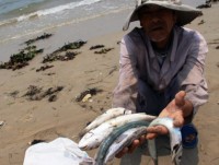 du co so khoa hoc de xac dinh nguyen nhan ca chet