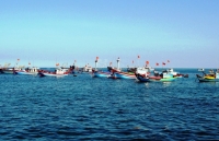Việt Nam tổ chức tọa đàm về quyền của người lao động trên biển
