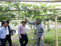 phat trien cong nghiep tu nguon luc dia phuong