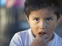 fao gia luong thuc the gioi tiep tuc tang