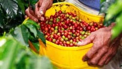 hai cuu tong thong brazil lula va rousseff bi cao buoc nhan hoi lo 150 trieu usd