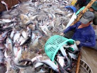 viet nam len tieng ve viec trung quoc dua khach du lich ra hoang sa