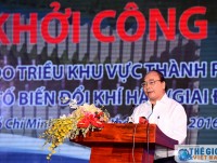 khoi cong nha may go van ep tai ha tinh