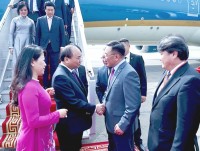 viet nam co the cung cap ca phe dua chuot cho mong co trong 20 nam