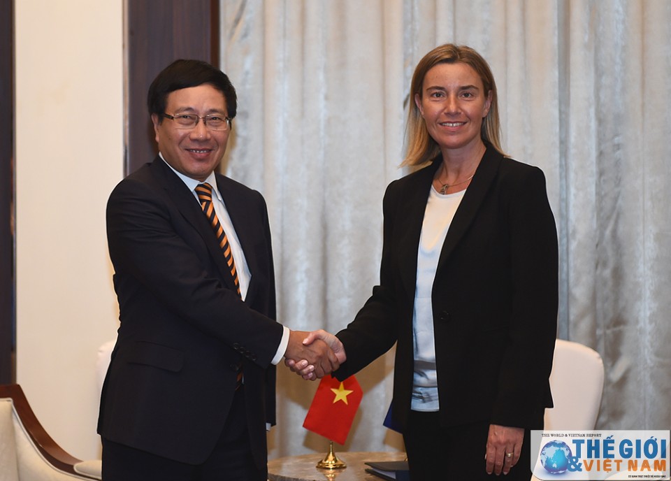 viet nam de nghi eu som phe chuan evfta