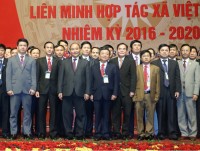 tiep suc cho mo hinh kinh te tap the