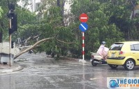 thu tuong chinh phu ra cong dien ung pho voi con bao so 2