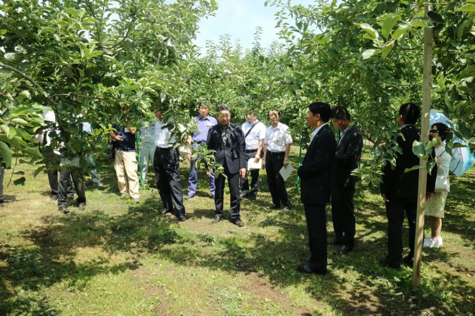 doanh nghiep nhat ban chia se kinh nghiem dau tu vao viet nam