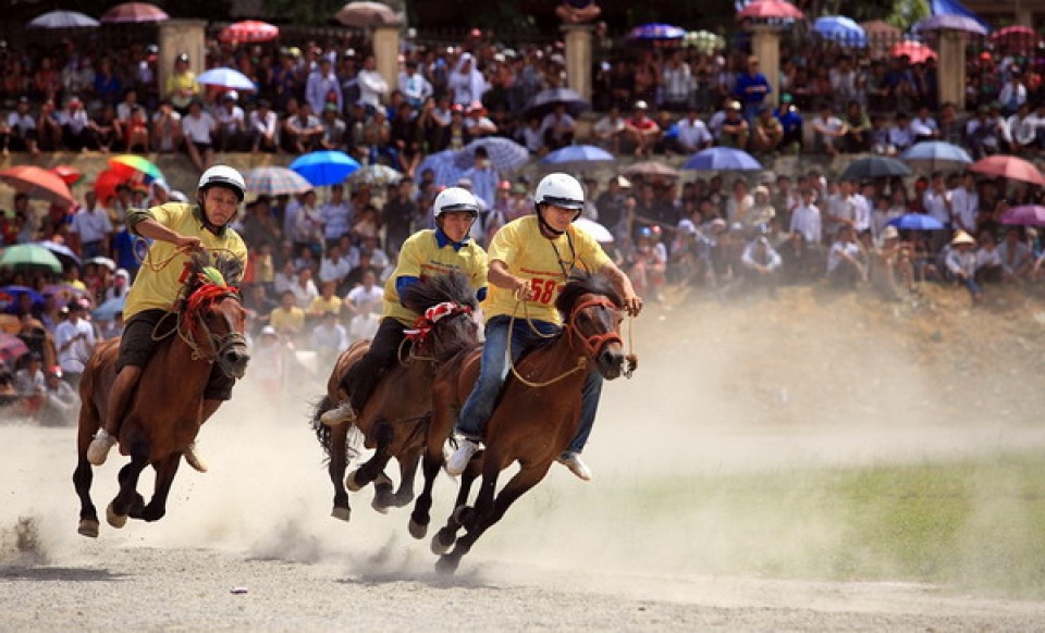 hoan thien quy dinh dat cuoc dua ngua bong da quoc te