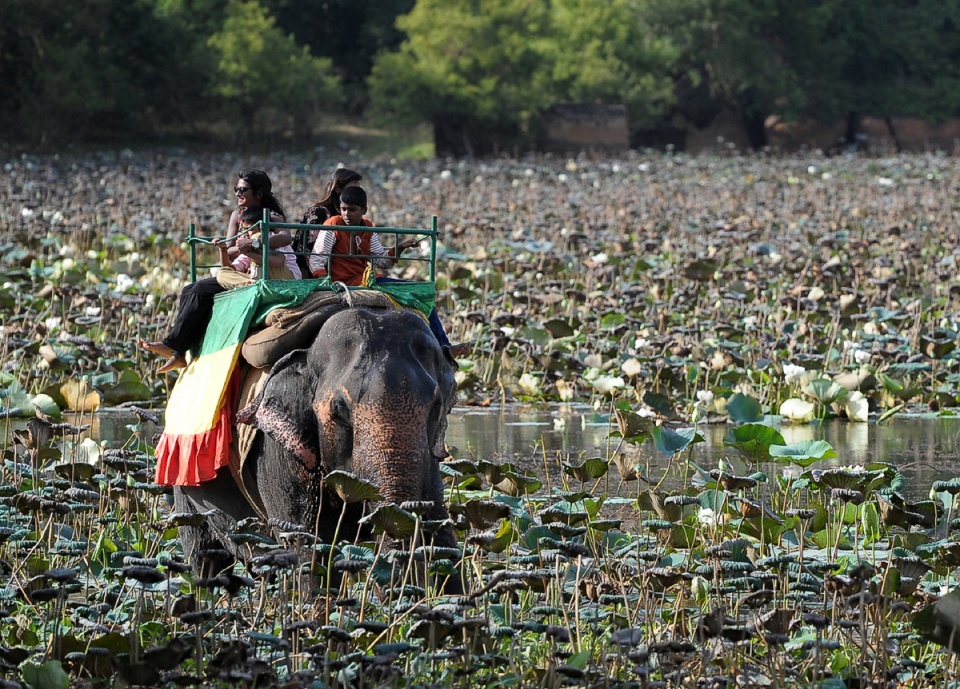 su kien trong tuan qua anh 208 268