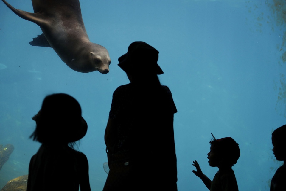 su kien trong tuan qua anh 208 268