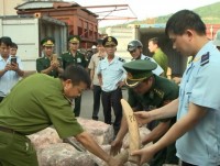 xem xet khoi to vu van chuyen trai phep nga voi