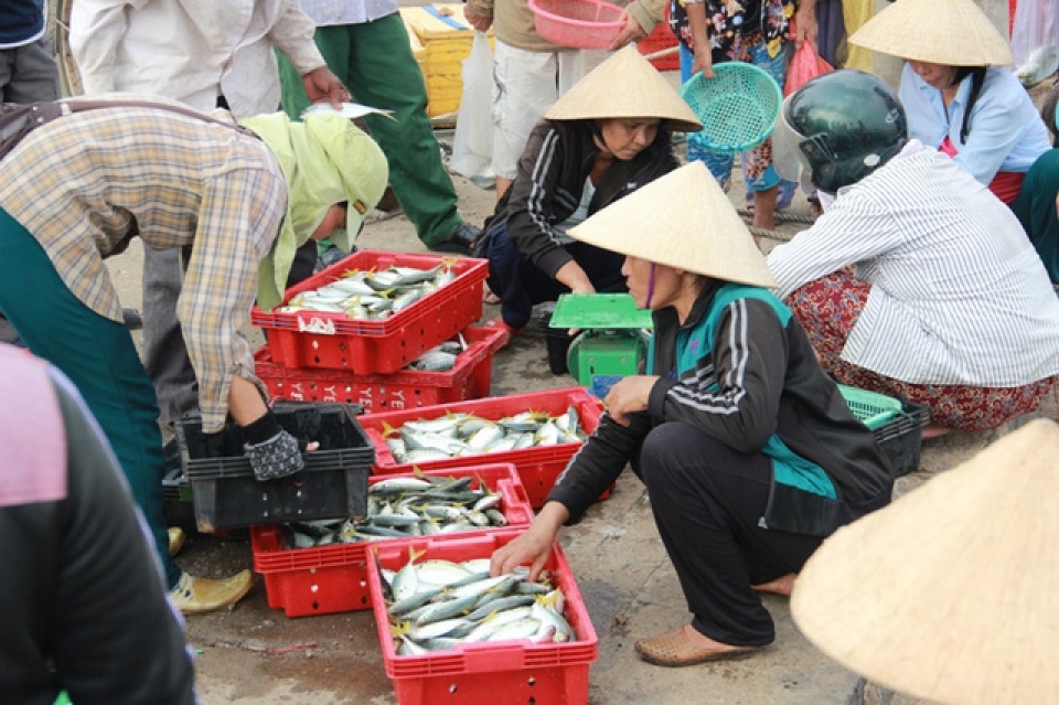 bo nong nghiep khong co hai san vung cam bi ban ra thi truong
