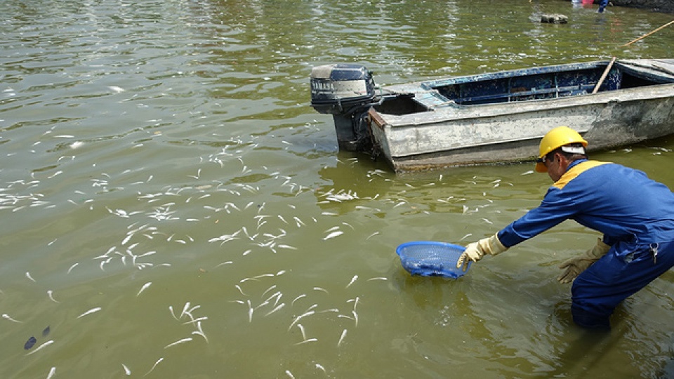 ca chet phu trang ven ho tay