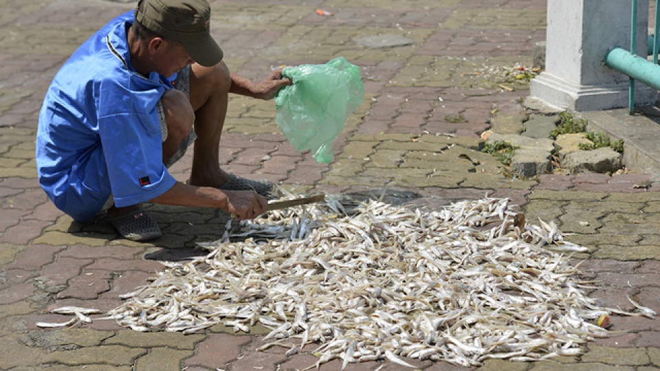 ca chet phu trang ven ho tay