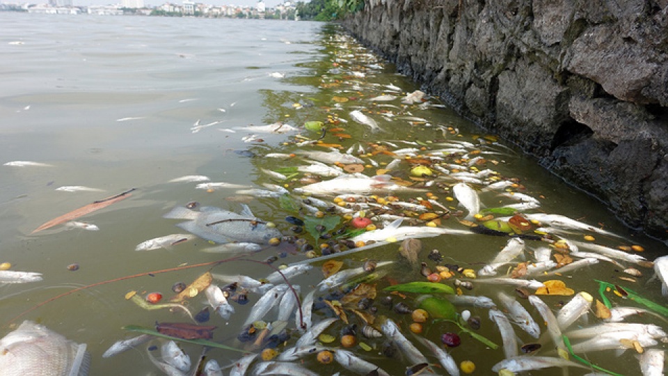 ca chet phu trang ven ho tay