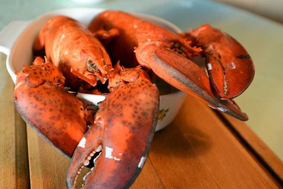 nhung mon hai san chi danh cho gioi nha giau