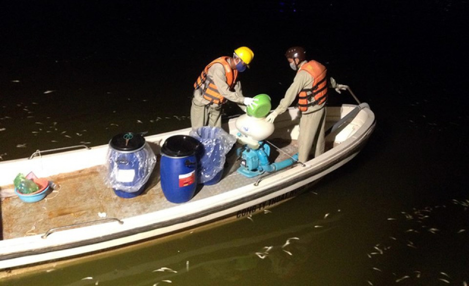 da thu gom 76 tan ca chet bat thuong o ho tay