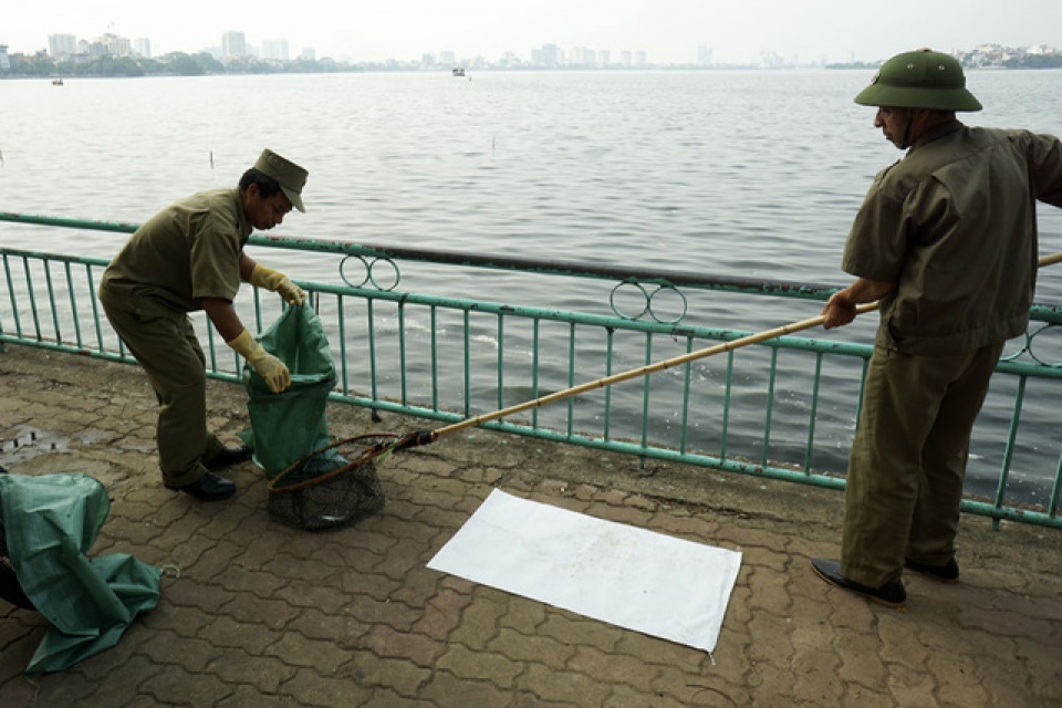 gan mot nghin nguoi cang minh giai cuu ho tay