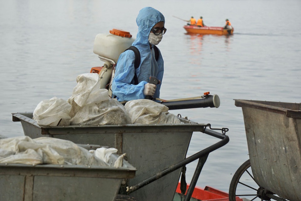 gan mot nghin nguoi cang minh giai cuu ho tay