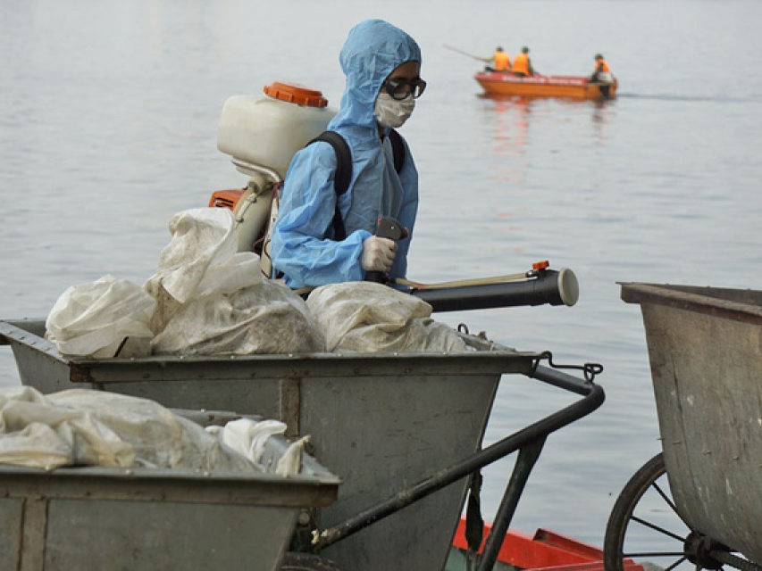 Gần một nghìn người căng mình "giải cứu" hồ Tây