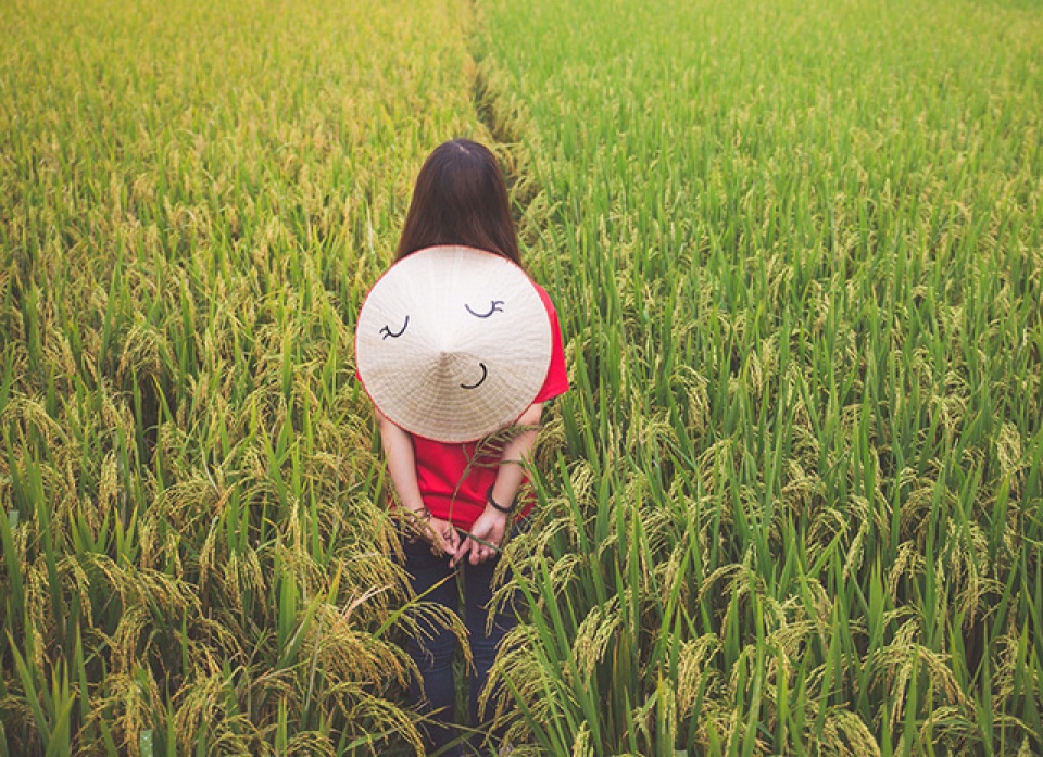 bo anh doc dao nhan cach hoa non la viet nam