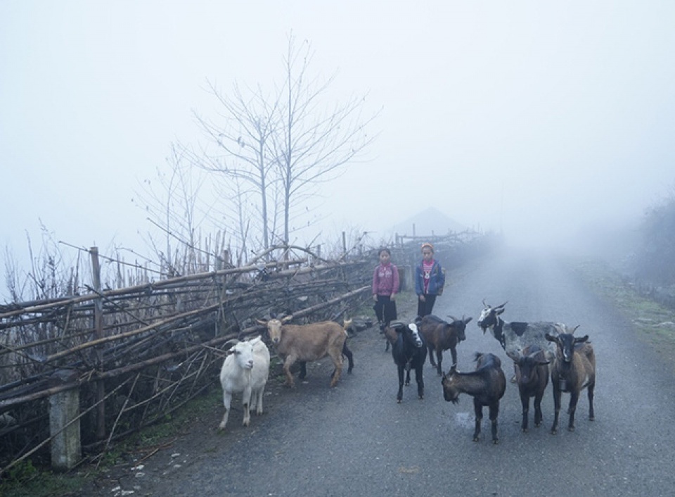 sa pa mua lanh gia ret nhu da vao dong