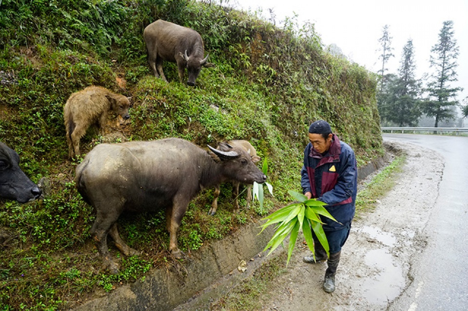 sa pa mua lanh gia ret nhu da vao dong