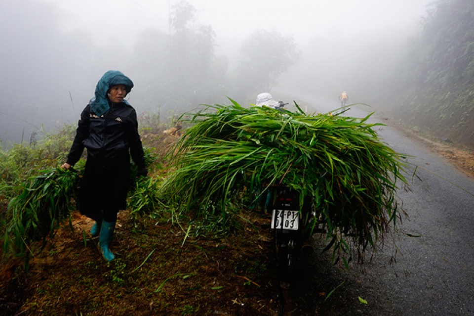 sa pa mua lanh gia ret nhu da vao dong
