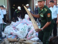 hoat dong buon ban trai phep dong thuc vat dien bien phuc tap