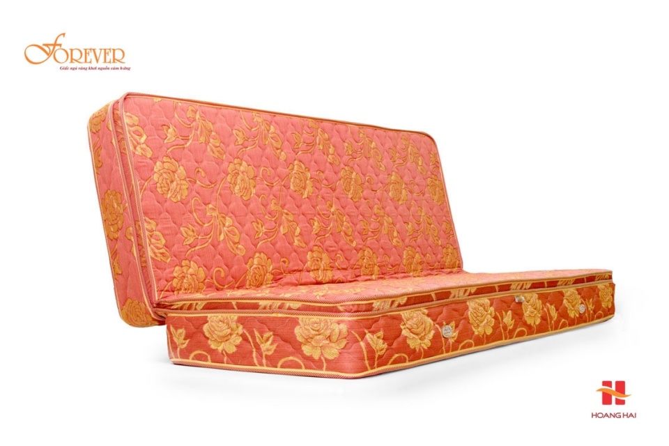 hoang hai forever tu van chon dem tot cho suc khoe