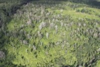 ly do khien hawaii tro thanh diem den du lich cua tat ca moi nguoi