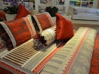 mua chan ga tai hoang hai huong uu dai lon