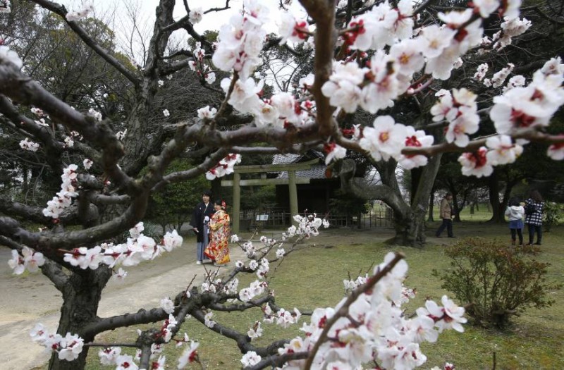 phu nu nhat chi duoc tai hon sau 100 ngay