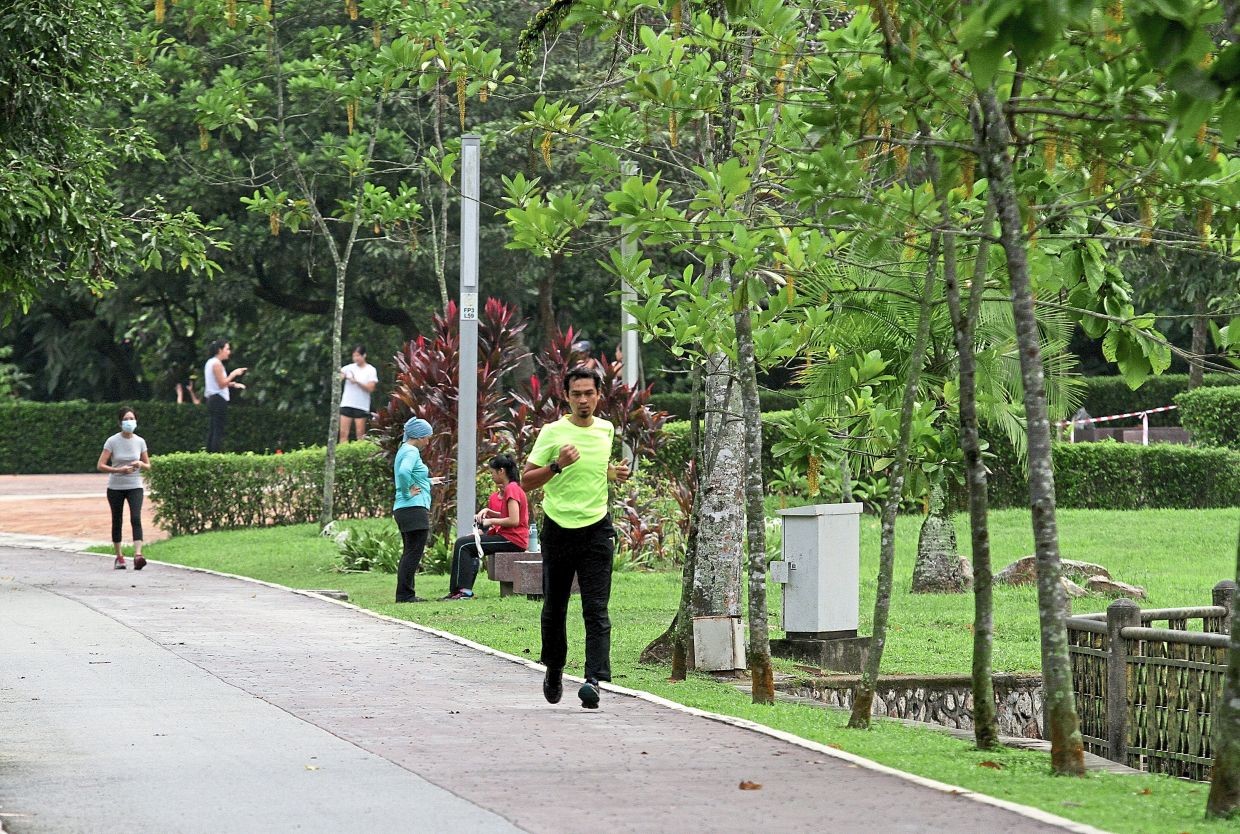 Không gian trị liệu của người Malaysia trong đại dịch Covid-19