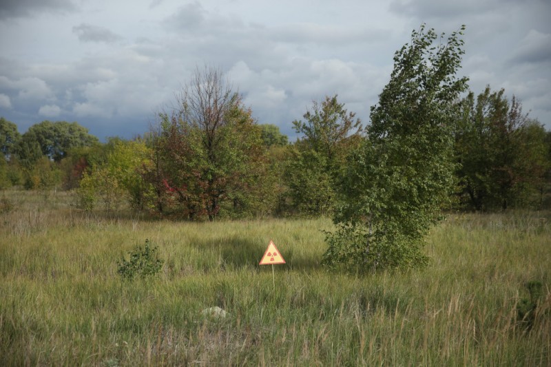 30 nam sau tham hoa chernobyl