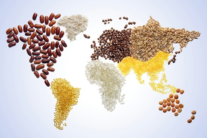 Giải quyết vấn đề an ninh lương thực đang ngày càng được nhiều quốc gia quan tâm. (Nguồn: foodnavigator)